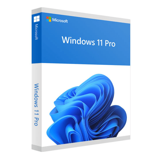 Windows 11 Pro OEM