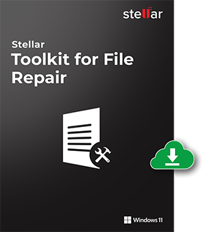  Stellar Toolkit for File Repair Technician 