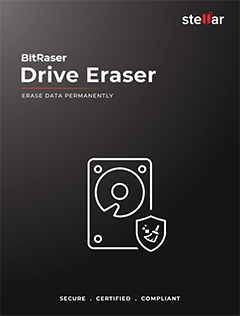 BitRaser Drive Dongle